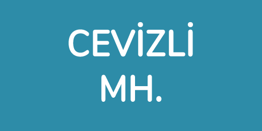 Cevizli Kurye